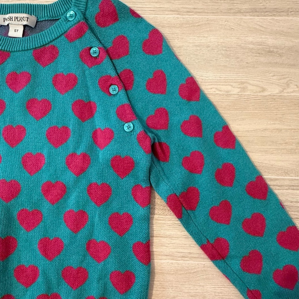 Posh Peanut Heart Print Bamboo Blend Sweater Teal Pink Size 5T - Picture 5 of 7